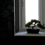 Apartman Greenwich House *